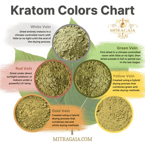 Green-veined kratom plants indicate the plant is ripe. . Green vs red kratom reddit